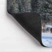 Cantering, Running Horses in Winter Snow Photo Muismat (Hoek)