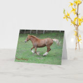 Cantering Welsh cob verjaardag Kaart (Gele Bloem)