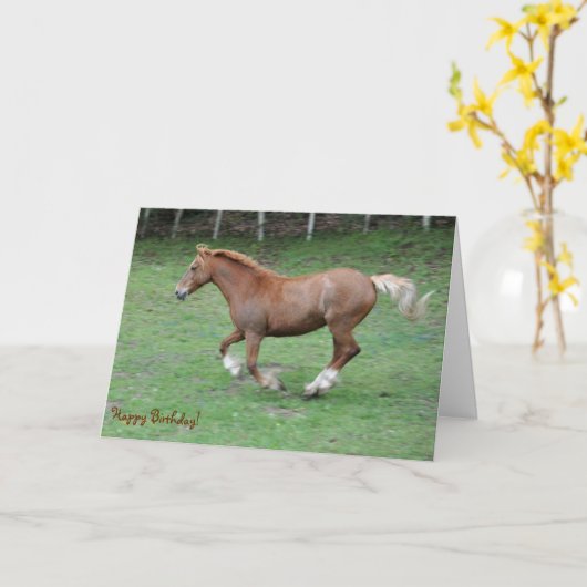 Cantering Welsh cob verjaardag Kaart (Gele Bloem)