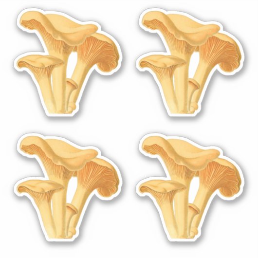 Cantharel Paddenstoel Vintage Botanische Illustrat Sticker (Voorkant)