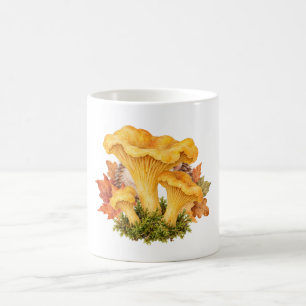 Cantharel Paddenstoelen op Mos Koffiemok