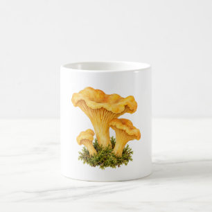 Cantharel Paddenstoelen op Mos Koffiemok