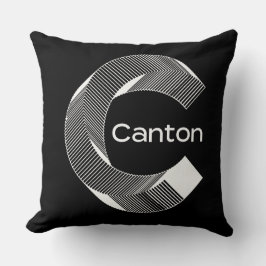 canton crypto pillow kussen