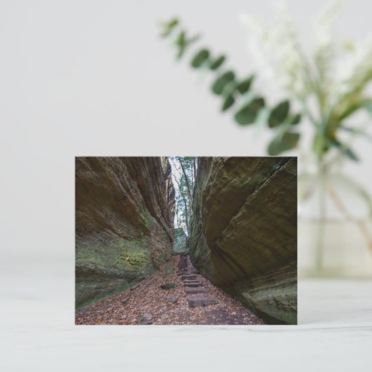 Cantwell Cliffs, Hocking Hills State Park, Ohio Briefkaart (Staand voorkant)