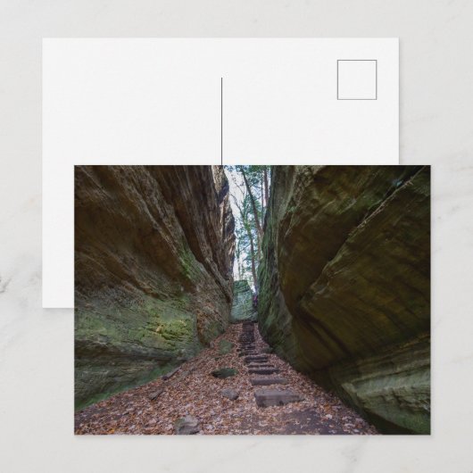 Cantwell Cliffs, Hocking Hills State Park, Ohio Briefkaart (Voorkant / Achterkant)