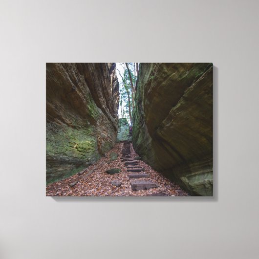 Cantwell Cliffs, Hocking Hills State Park, Ohio Canvas Afdruk (Voorkant)