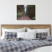 Cantwell Cliffs, Hocking Hills State Park, Ohio Canvas Afdruk (Insitu (Slaapkamer))