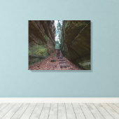 Cantwell Cliffs, Hocking Hills State Park, Ohio Canvas Afdruk (Insitu (Houten vloer))