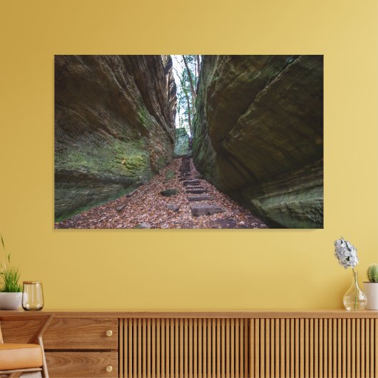 Cantwell Cliffs, Hocking Hills State Park, Ohio Canvas Afdruk (Insitu (Woonkamer))