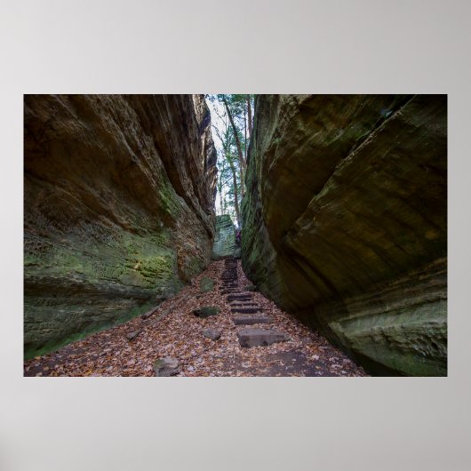 Cantwell Cliffs, Hocking Hills State Park, Ohio Poster (Voorkant)