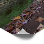 Cantwell Cliffs, Hocking Hills State Park, Ohio Poster (Hoek)