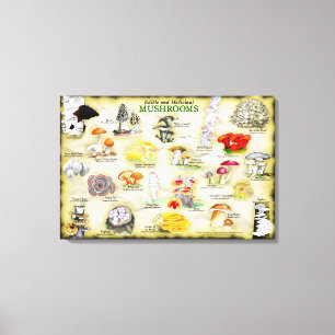 Canvas 30x20 Paddenstoelen