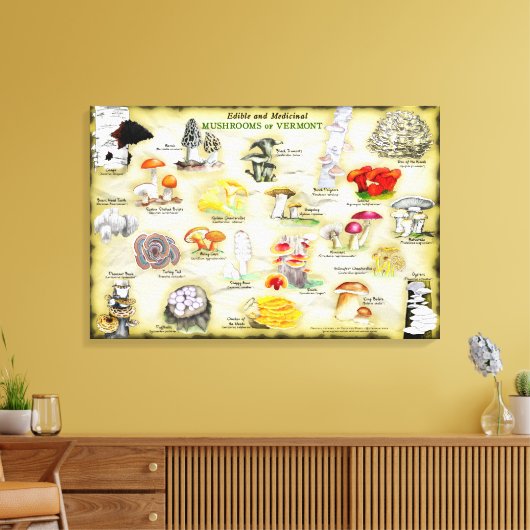 Canvas 30x20 Paddenstoelen van Vermont (Insitu (Woonkamer))