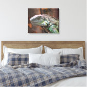 Canvas Afdrukken met kleurrijke Iguana hazard (Insitu (Slaapkamer))