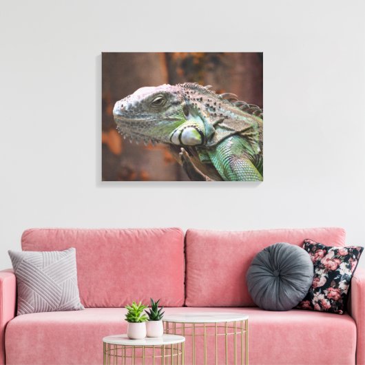 Canvas Afdrukken met kleurrijke Iguana hazard (Insitu (Woonkamer))