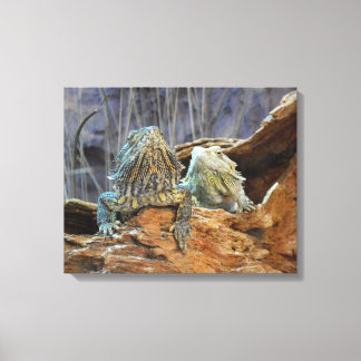 Canvas afdrukken met nieuwsgierige lizards