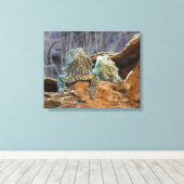 Canvas afdrukken met nieuwsgierige lizards (Insitu (Houten vloer))