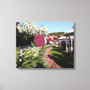 Canvas afdrukken met Petunias