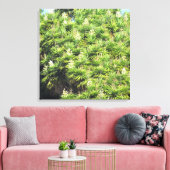 Canvas Afdrukken - Planten Yucca (2) (Insitu (Woonkamer))