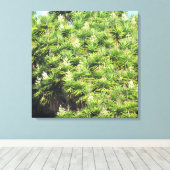 Canvas Afdrukken - Planten Yucca (2) (Insitu (Houten vloer))