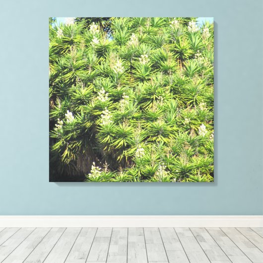 Canvas Afdrukken - Planten Yucca (2) (Insitu (Houten vloer))