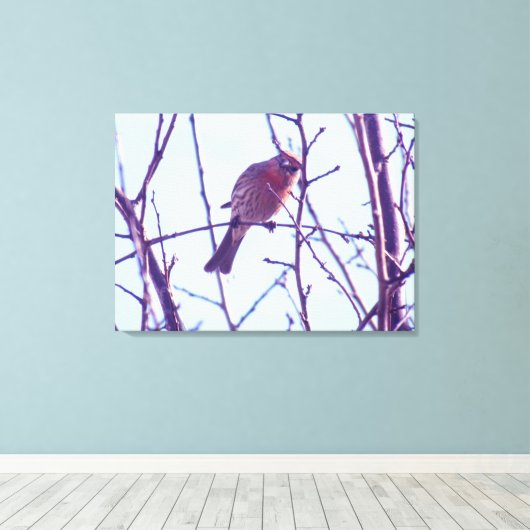 Canvas Afdrukken - Rood Sparrow in Tree (Insitu (Houten vloer))