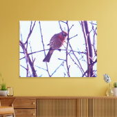 Canvas Afdrukken - Rood Sparrow in Tree (Insitu (Woonkamer))