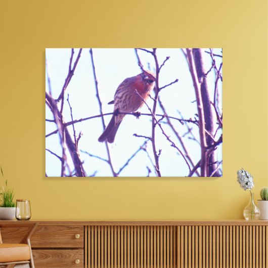 Canvas Afdrukken - Rood Sparrow in Tree (Insitu (Woonkamer))