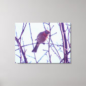 Canvas Afdrukken - Rood Sparrow in Tree (Voorkant)