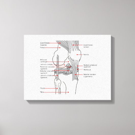 Canvas anatomisch diagram menselijk rechter kniege afdruk (Voorkant)