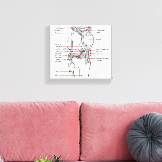 Canvas Anatomisch diagram rechtskniegewricht (Insitu (Woonkamer))