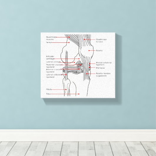 Canvas Anatomisch diagram rechtskniegewricht Afdruk (Insitu (Houten vloer))