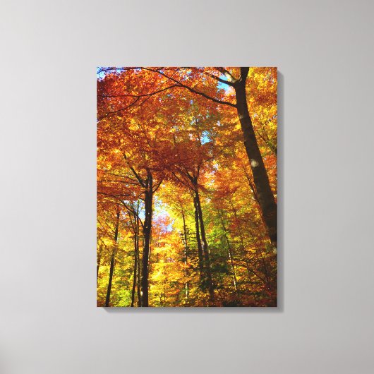 Canvas Art-Autumn Trees (Voorkant)