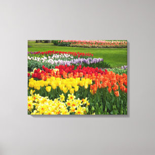 Canvas Art-Bloemen