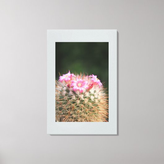 Canvas Art-Cactus (Voorkant)