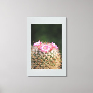 Canvas Art-Cactus Afdruk