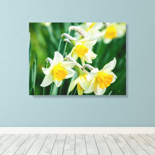 Canvas Art-Daffodils (Insitu (Houten vloer))