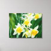 Canvas Art-Daffodils (Voorkant)
