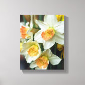 Canvas Art-Daffodils Afdruk (Voorkant)