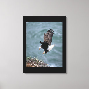 Canvas Art-Eagle Afdruk