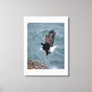 Canvas Art-Eagle Afdruk