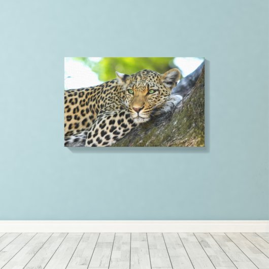 Canvas Art-Leopard (Insitu (Houten vloer))