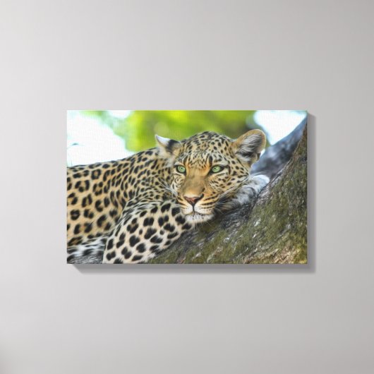 Canvas Art-Leopard Afdruk (Voorkant)