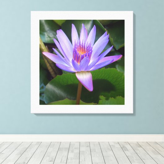 Canvas Art-Lotus Bloem (Insitu (Houten vloer))