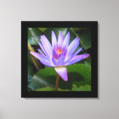 Canvas Art-Lotus Bloem (Voorkant)