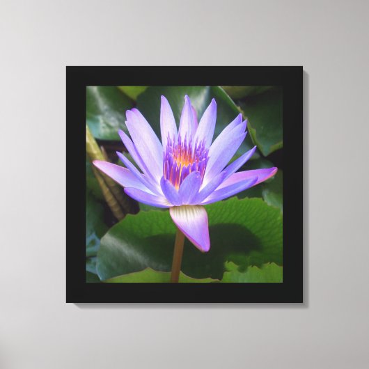 Canvas Art-Lotus Bloem (Voorkant)