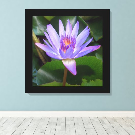 Canvas Art-Lotus Bloem (Insitu (Houten vloer))