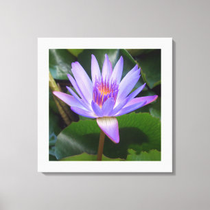 Canvas Art-Lotus Bloem Afdruk