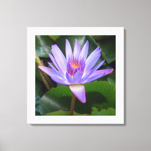 Canvas Art-Lotus Bloem Afdruk (Voorkant)