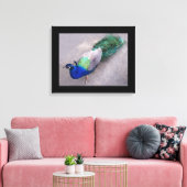 Canvas Art Peacock Afdruk (Insitu (Woonkamer))